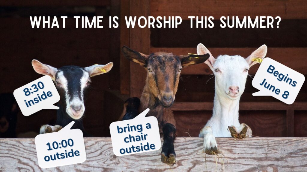 When is worship?